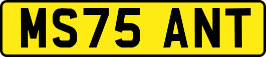 MS75ANT