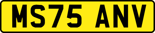 MS75ANV