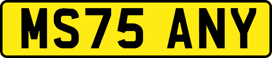 MS75ANY