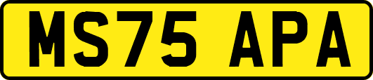 MS75APA
