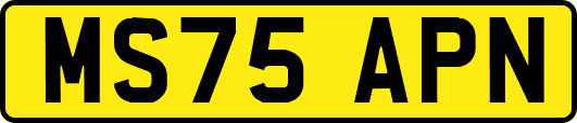 MS75APN