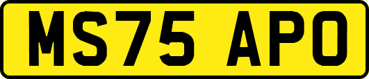 MS75APO