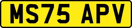 MS75APV