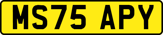 MS75APY