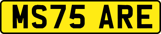 MS75ARE