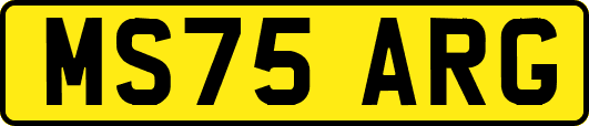 MS75ARG
