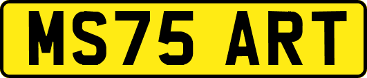 MS75ART