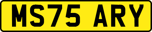MS75ARY