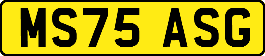 MS75ASG