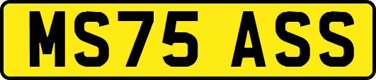 MS75ASS