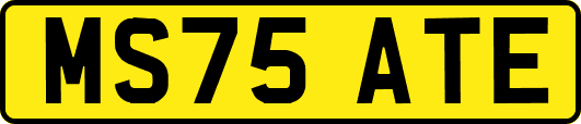 MS75ATE