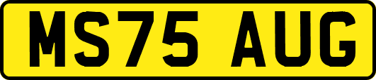 MS75AUG