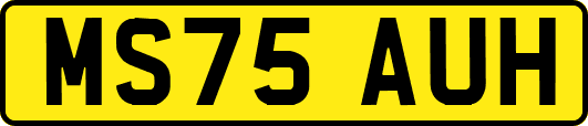 MS75AUH