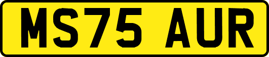 MS75AUR