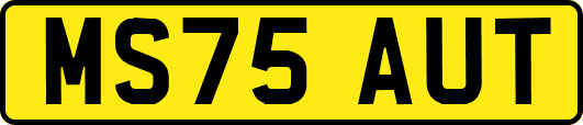MS75AUT