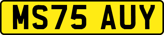 MS75AUY