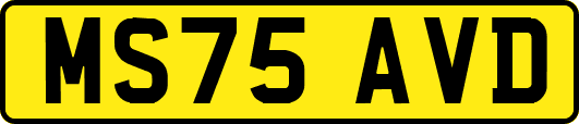 MS75AVD
