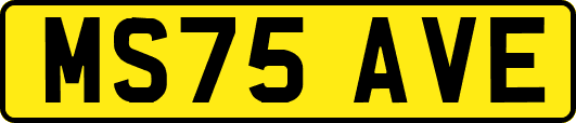 MS75AVE