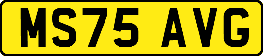 MS75AVG