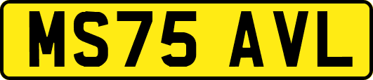 MS75AVL