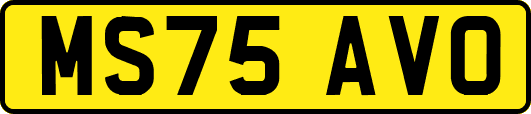 MS75AVO