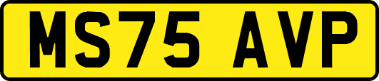 MS75AVP