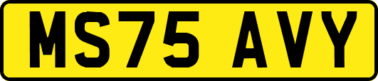 MS75AVY