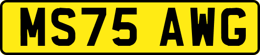 MS75AWG