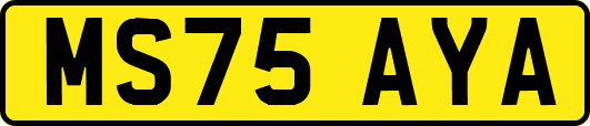 MS75AYA