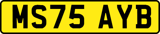 MS75AYB