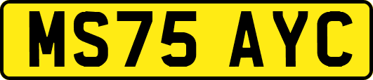 MS75AYC
