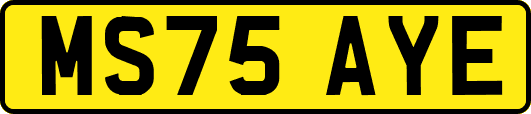 MS75AYE