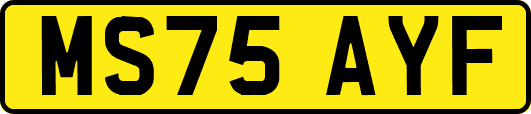 MS75AYF