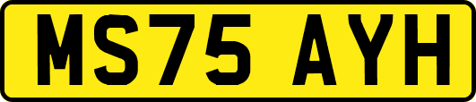 MS75AYH