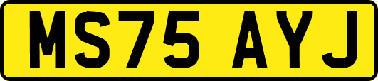 MS75AYJ