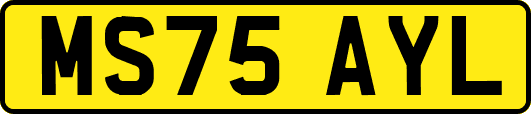 MS75AYL