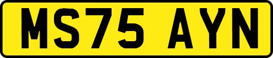 MS75AYN