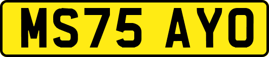 MS75AYO