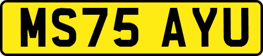 MS75AYU