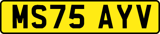 MS75AYV
