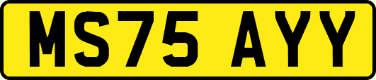 MS75AYY