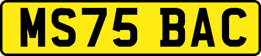 MS75BAC