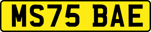 MS75BAE