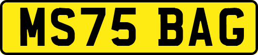 MS75BAG