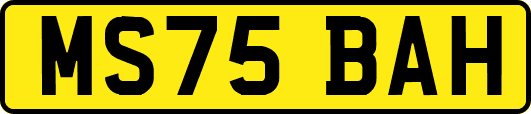 MS75BAH