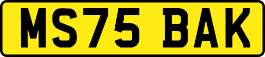 MS75BAK