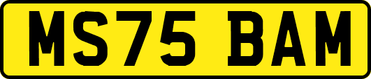 MS75BAM