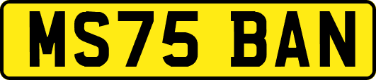 MS75BAN