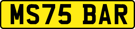 MS75BAR