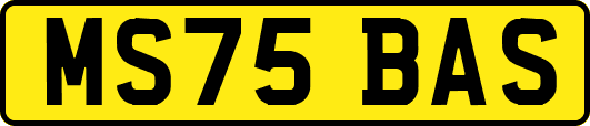 MS75BAS